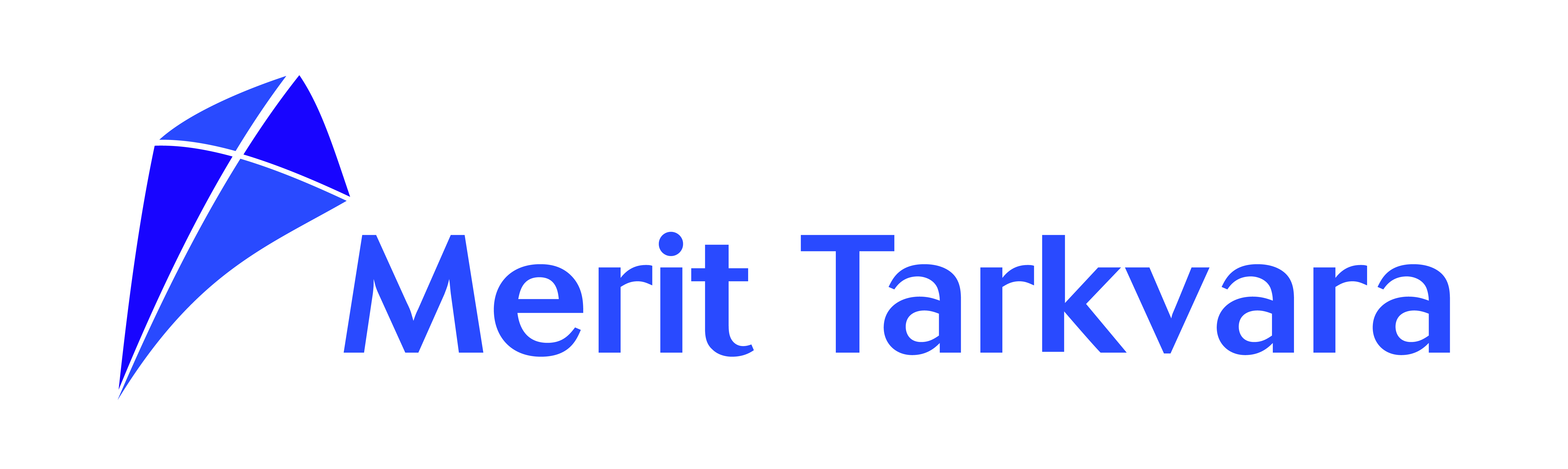 Logo 1